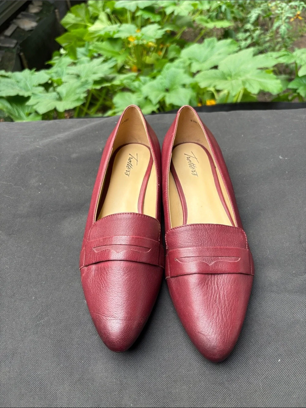 Trotters sleek pointed